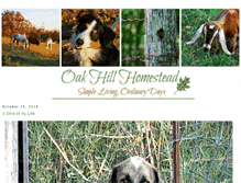 Tablet Screenshot of oakhillhomestead.com